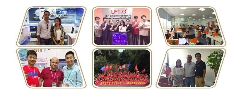 LFT-G® LGF40 PA12.jpg