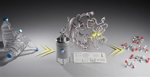 ENZYMATIC PLASTIC RECYCLING